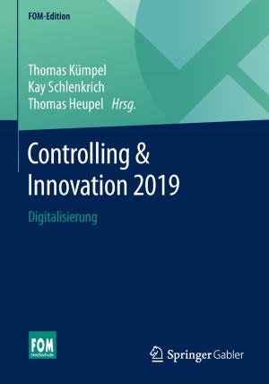Cover of the book Controlling & Innovation 2019 by Klaus Schreiner