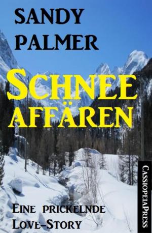 Cover of the book Schneeaffären by Writing on the Wall