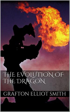 Cover of the book The Evolution of the Dragon by Kurt Tepperwein
