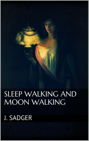 Cover of the book Sleep Walking and Moon Walking by Helge Janßen