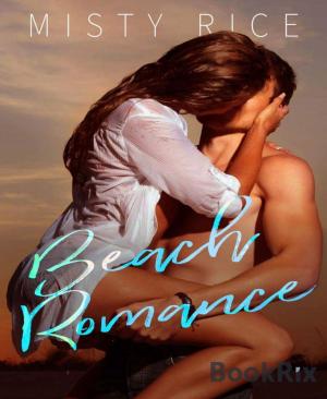 Cover of the book Beach Romance by Angelika Nylone