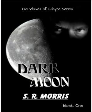 Cover of the book Dark Moon by Glenn P. Webster