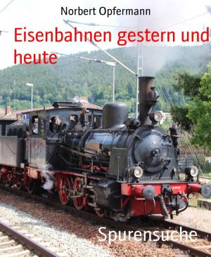 Book cover of Spurensuche