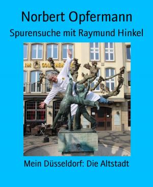 Book cover of Spurensuche mit Raymund Hinkel