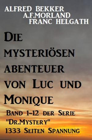 Book cover of Die mysteriösen Abenteuer von Luc und Monique