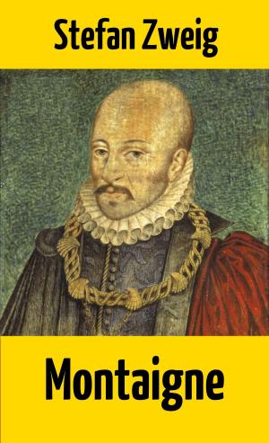 Cover of the book Montaigne by Irene Wai Lwin Moe