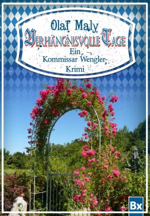 Cover of the book Verhängnisvolle Tage by Bob Spear