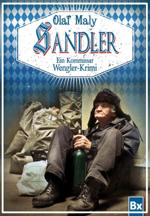 Cover of the book Sandler by Mattis Lundqvist