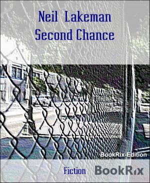 Cover of the book Second Chance by Glenn Stirling