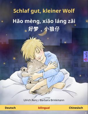 Cover of Schlaf gut, kleiner Wolf – 好梦，小狼仔 - Hǎo mèng, xiǎo láng zǎi (Deutsch – Chinesisch)