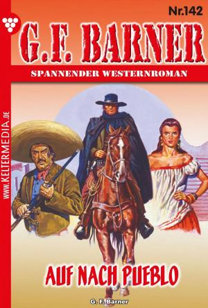 Cover of the book G.F. Barner 142 – Western by Toni Waidacher