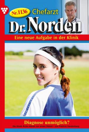 Book cover of Chefarzt Dr. Norden 1136 – Arztroman