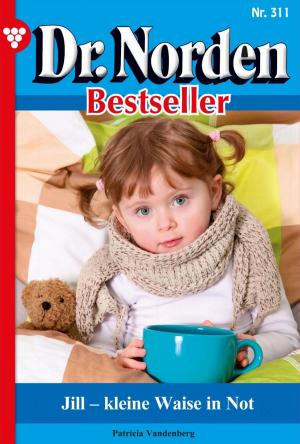 Cover of the book Dr. Norden Bestseller 311 – Arztroman by Linda Banche