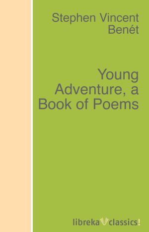 Cover of the book Young Adventure, a Book of Poems by Omar Khayyam