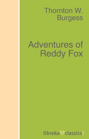 Cover of the book Adventures of Reddy Fox by Rudyard Kipling
