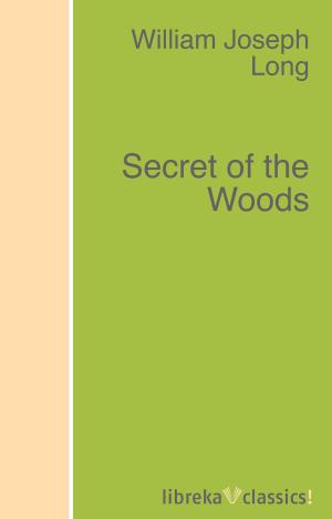Book cover of Secret of the Woods