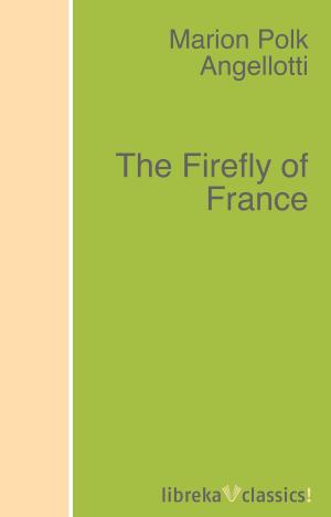 Book cover of The Firefly of France