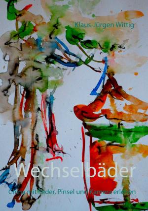Cover of the book Wechselbäder by Stefan Zweig
