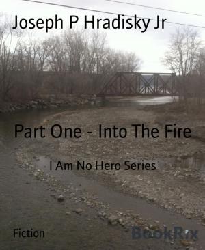 Cover of the book Part One - Into The Fire by Milena Porta