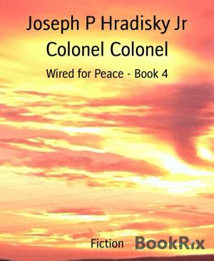 Cover of the book Colonel Colonel by Yoni Schwartzman