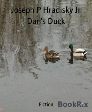Cover of the book Dan's Duck by Peter Delbridge