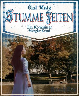 Book cover of Stumme Zeiten