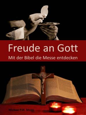 Cover of the book Freude an Gott by Michael K. Iwoleit
