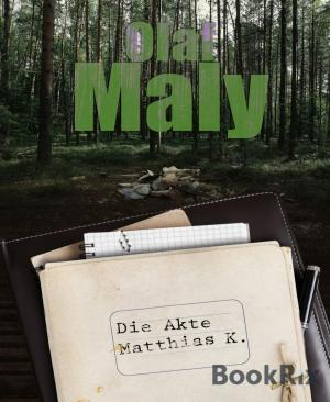 Book cover of Die Akte Matthias K.