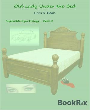 Cover of the book Old Lady Under the Bed by Paul Trembling