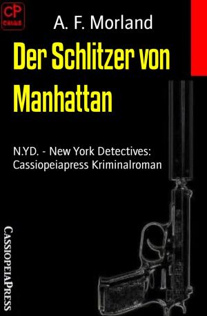 bigCover of the book Der Schlitzer von Manhattan by 