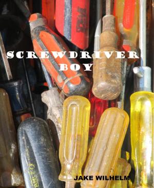 Book cover of Screwdriver Boy
