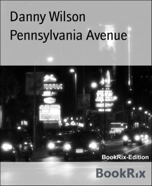 Book cover of Pennsylvania Avenue