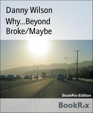 Book cover of Why...Beyond Broke/Maybe