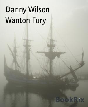 Cover of the book Wanton Fury by Antje Hansen