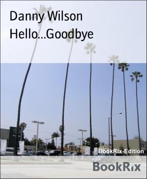 Cover of the book Hello...Goodbye by Bailey Lundberg