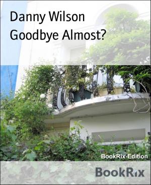 Cover of the book Goodbye Almost? by Erin Bernstein, Kisari Mohan Ganguli