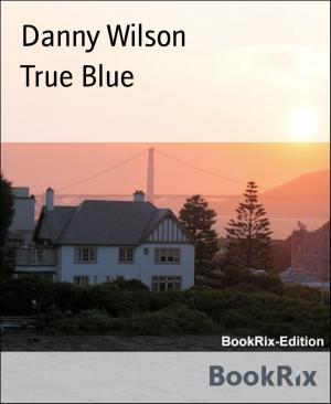 Cover of the book True Blue by Michelle Robin