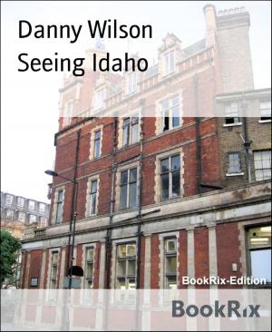 Book cover of Seeing Idaho