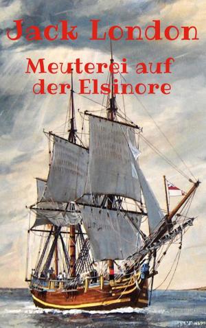Cover of the book Meuterei auf der Elsinore by Christine Hermann