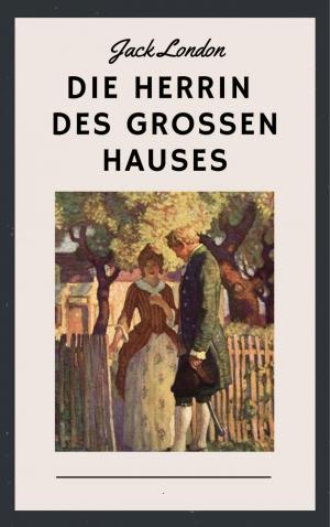 Cover of the book Die Herrin des großen Hauses by Uwe Melzer