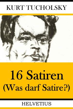 Cover of the book 16 Satiren by Bernhard Long