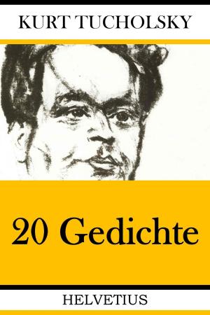 Cover of the book 20 Gedichte by Tanja Gräfin von Jade Gräfin von Marck Gräfin von der Ahé