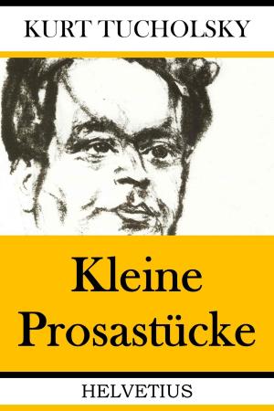 Cover of the book Kleine Prosastücke by Johannes Schneider