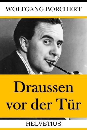 Cover of the book Draussen vor der Tür by Cyrill Delvin