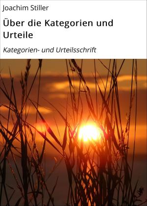 Cover of the book Über die Kategorien und Urteile by Guenter Dr Burkhardt