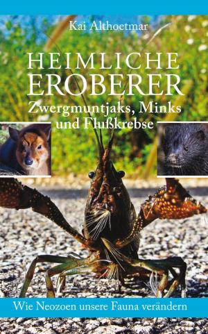 Cover of the book Heimliche Eroberer by Jürgen Prommersberger