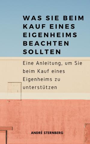 Cover of the book Was Sie beim Kauf eines Eigenheims beachten sollten by Bernadette Maria Kaufmann