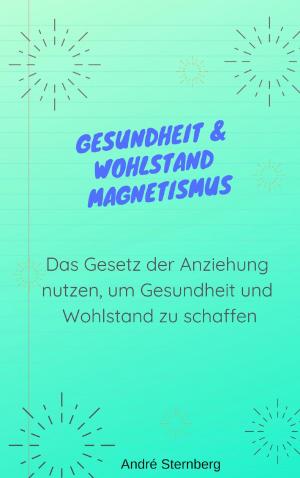 Cover of the book Gesundheit & Wohlstand Magnetismus by Andrea Pirringer