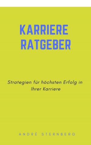 Cover of the book Karriere Ratgeber by Anton Winkler