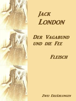 Cover of the book Der Vagabund und die Fee by Klaus-Dieter Thill